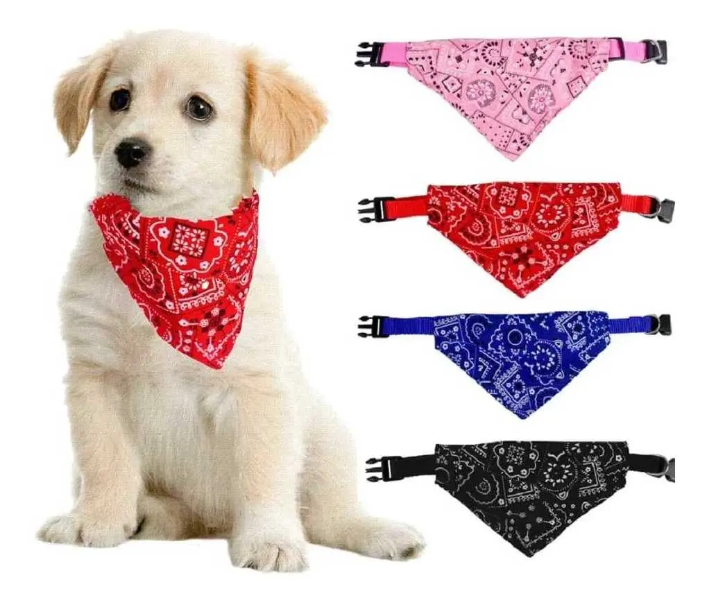 PANOLETA PARA MASCOTA